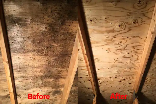 water damage restoration service Hermann